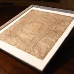 Hidden Treasure: Original Magna Carta Discovered in Harvard Archives